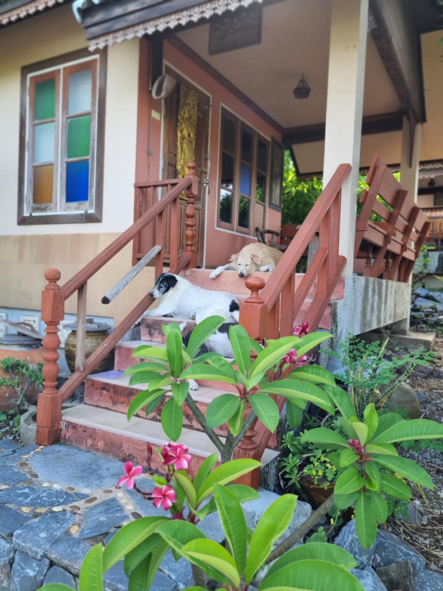 Hello Sichang Bungalow Ko Si Chang Bilik gambar